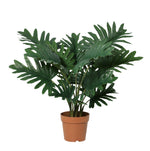 





Kunstplant Philodendron Selloum | 70cm - Afbeelding 10
 thumbnail