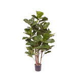 





Kunstplant Ficus Lyrata | 105cm - Lifestyle foto kunstplant in interieur
 thumbnail