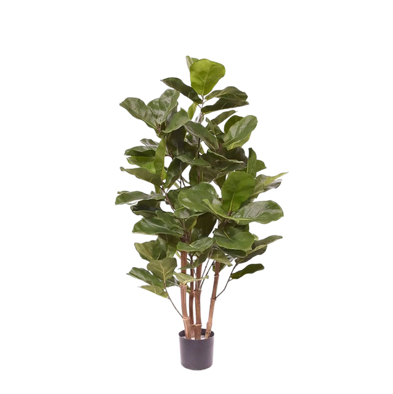





Kunstplant Ficus Lyrata | 105cm - Lifestyle foto kunstplant in interieur
