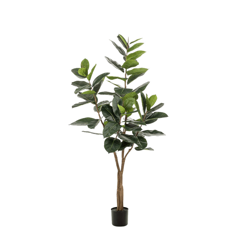 





Pianta Artificiale Ficus Elastica | 180cm - Detail view kunstplant
