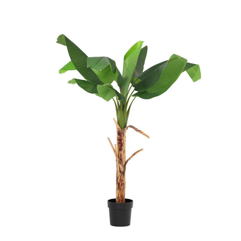 





Kunstplant Bananenplant | 150cm - Afbeelding 9
