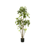 





Kunstplant Aralia | 160cm - Lifestyle foto kunstplant in interieur
 thumbnail