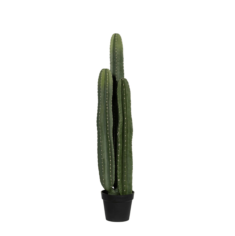 





Kunstplante Cactus San Pedro | 100cm - Lifestyle foto kunstplant in interieur
