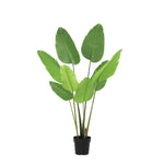 





Kunstplant Strelitzia | 153cm - Afbeelding 10
 thumbnail