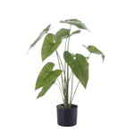 





Artificial Plant Alocasia Elephant Ear | 75cm - Lifestyle foto kunstplant in interieur
 thumbnail