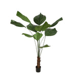 





Umelá Rastlina Licuala Waaierpalm | 180cm - Detail view kunstplant
 thumbnail