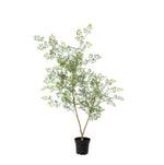 





Kunstplant Bucida | 71cm - Afbeelding 9
 thumbnail