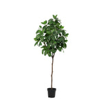 





Kunstplant Magnolia | 187cm - Afbeelding 8
 thumbnail