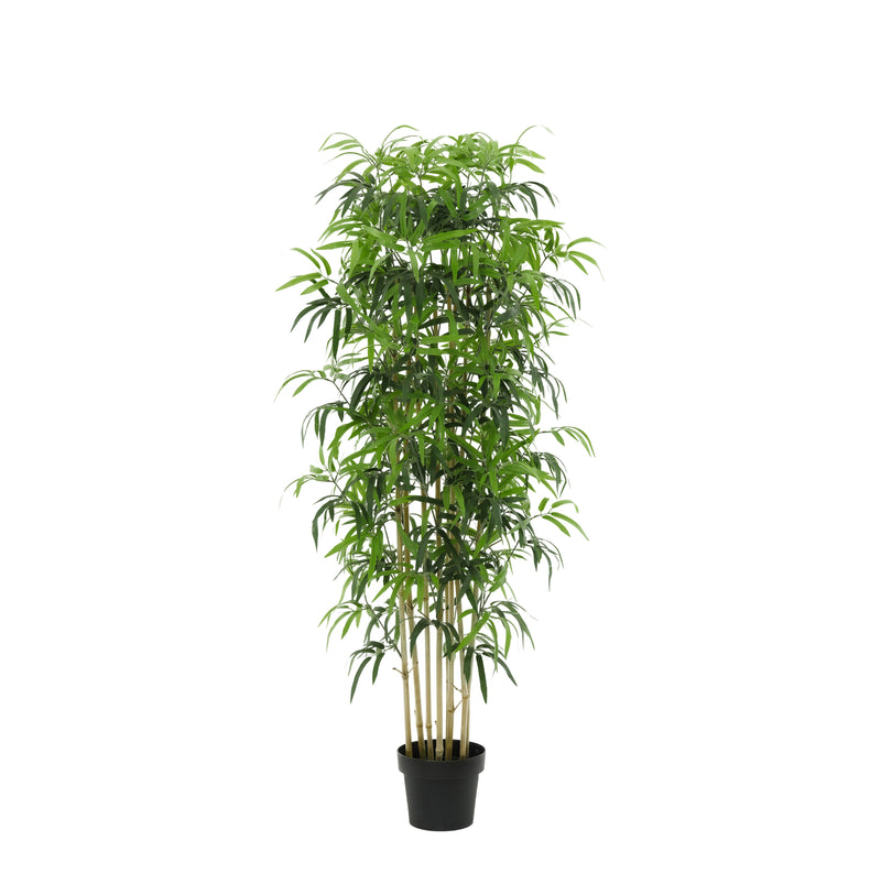 





Kunstplant Bamboe | 180cm - Afbeelding 9
