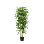 





Kunstplant Bamboe | 150cm - Afbeelding 10
 thumbnail