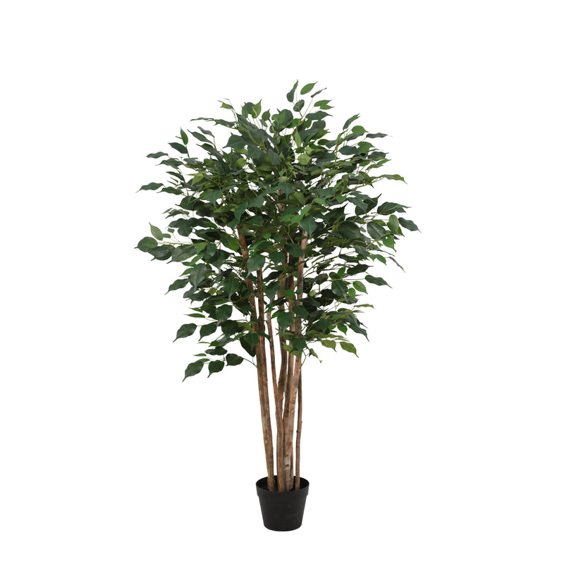 





Kunstplant Ficus Benjamina | 150cm - Afbeelding 9
