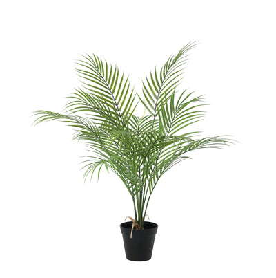 Kentia Palm Collectie | Kunstpalmen Pakket