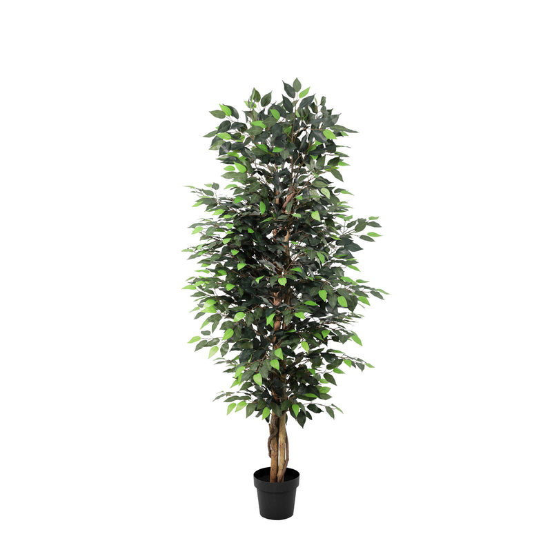 





Kunstplante Ficus Benjamina | 180cm - Afbeelding 9
