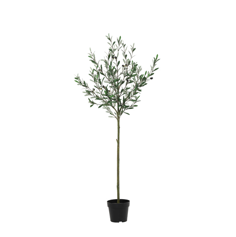 





Kunstplant Olijfboom | 150cm - Afbeelding 9
