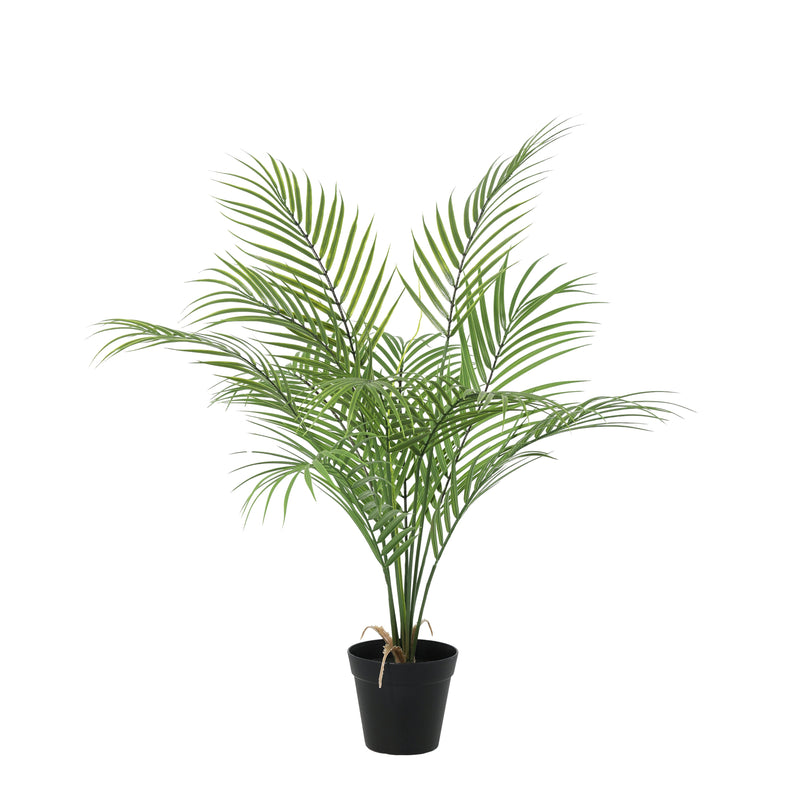 





Slaapkamer Kunstplanten Set | Rustgevend Groen | Florafy - Afbeelding 7
