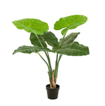 





Planta Artificial Alocasia Oreja de Elefante | 90cm - Lifestyle foto kunstplant in interieur
 thumbnail