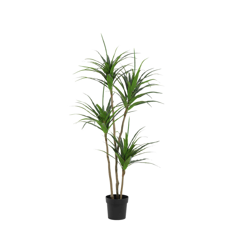 





Kunstig Plante Dracaena | 165cm - Afbeelding 9
