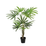 





Pianta Artificiale Rhapis | 120cm - Afbeelding 8
 thumbnail