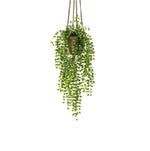 





Pianta Artificiale Ficus | 80cm - Lifestyle foto kunstplant in interieur
 thumbnail