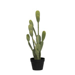 





Kunstpflanze Cactus Opuntia | 72cm - Lifestyle foto kunstplant in interieur
 thumbnail