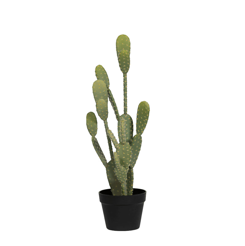





Kunstpflanze Cactus Opuntia | 72cm - Lifestyle foto kunstplant in interieur
