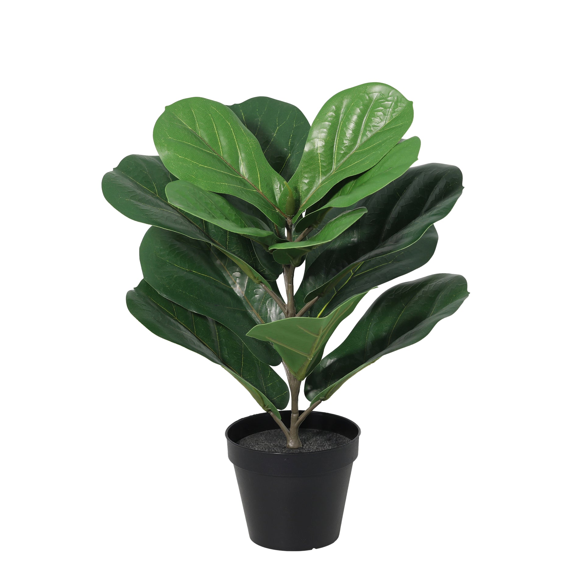 





Kunstplant Ficus Lyrata | 40cm - Lifestyle foto kunstplant in interieur
