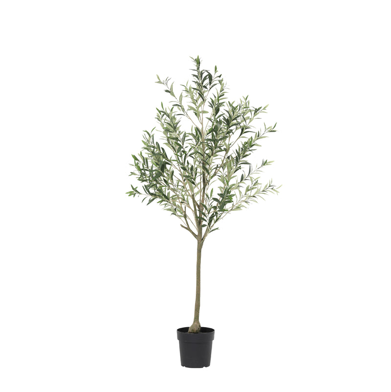 





Kunstplant Olijfboom | 169cm - Afbeelding 9
