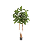 





Planta Artificial Ficus | 200cm - Detail view kunstplant
 thumbnail
