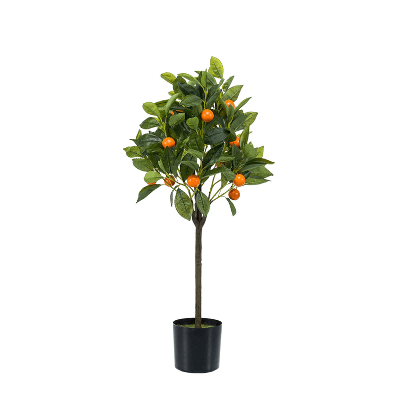 





Kunstpflanze Orangenbaum | 75cm - Detail view kunstplant
