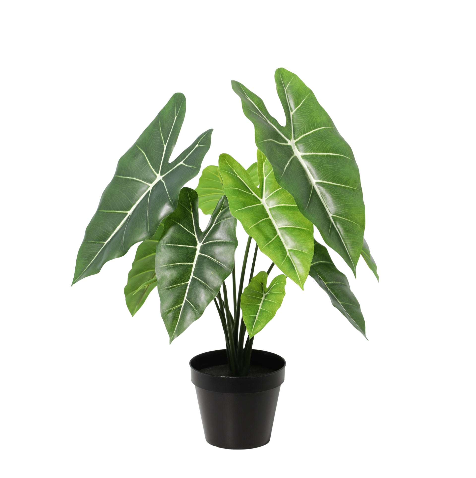 





Kunstplant Alocasia | 42cm - Lifestyle foto kunstplant in interieur
