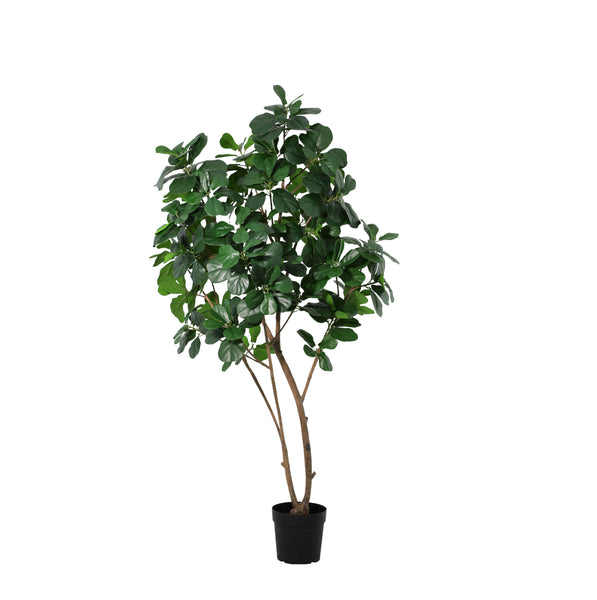 Kunstplant Ficus Lyrata XL | 180cm