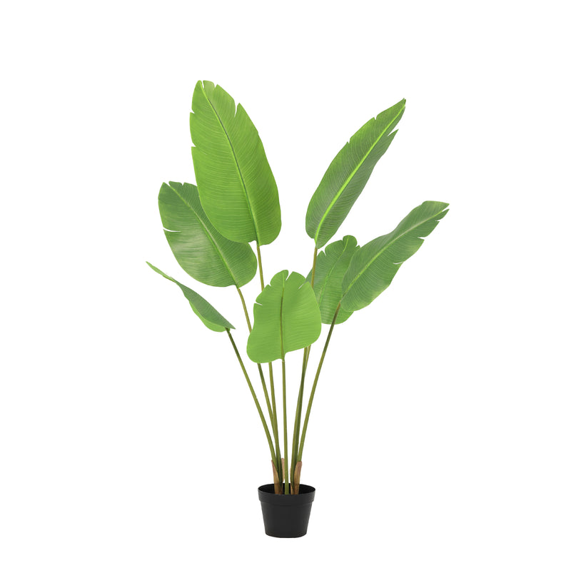 





Pianta Artificiale Strelitzia | 135cm - Afbeelding 9
