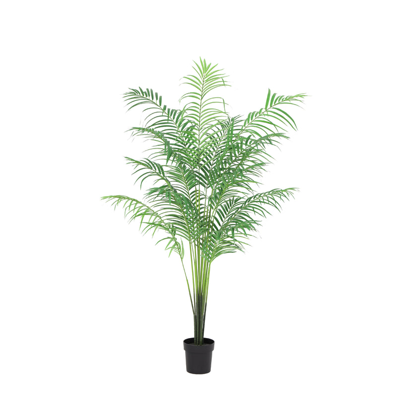 





Kentia Palmsamling | Konstgjorda Palmer Paket - Afbeelding 7
