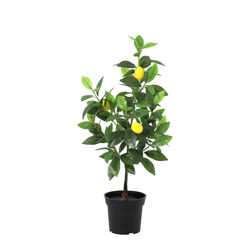 





Pianta Artificiale Limone | 65cm - Afbeelding 9
