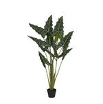 





Konstväxt Alocasia Olifantsoor | 160cm - Lifestyle foto kunstplant in interieur
 thumbnail