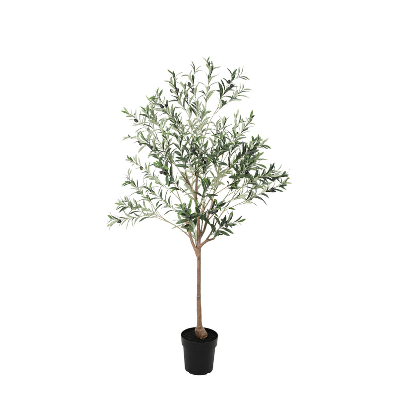 





Kunstplant Olijfboom | 172cm - Afbeelding 9
