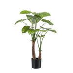 





Pianta Artificiale Alocasia Orecchio d'Elefante | 110cm - Lifestyle foto kunstplant in interieur
 thumbnail