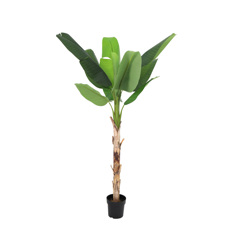 





Pianta Artificiale Bananenplant | 190cm - Afbeelding 9

