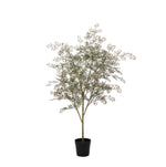 





Kunstplant Bucida | 165cm - Afbeelding 8
 thumbnail