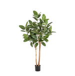 





Pianta Artificiale Ficus Audrey | 170cm - Detail view kunstplant
 thumbnail