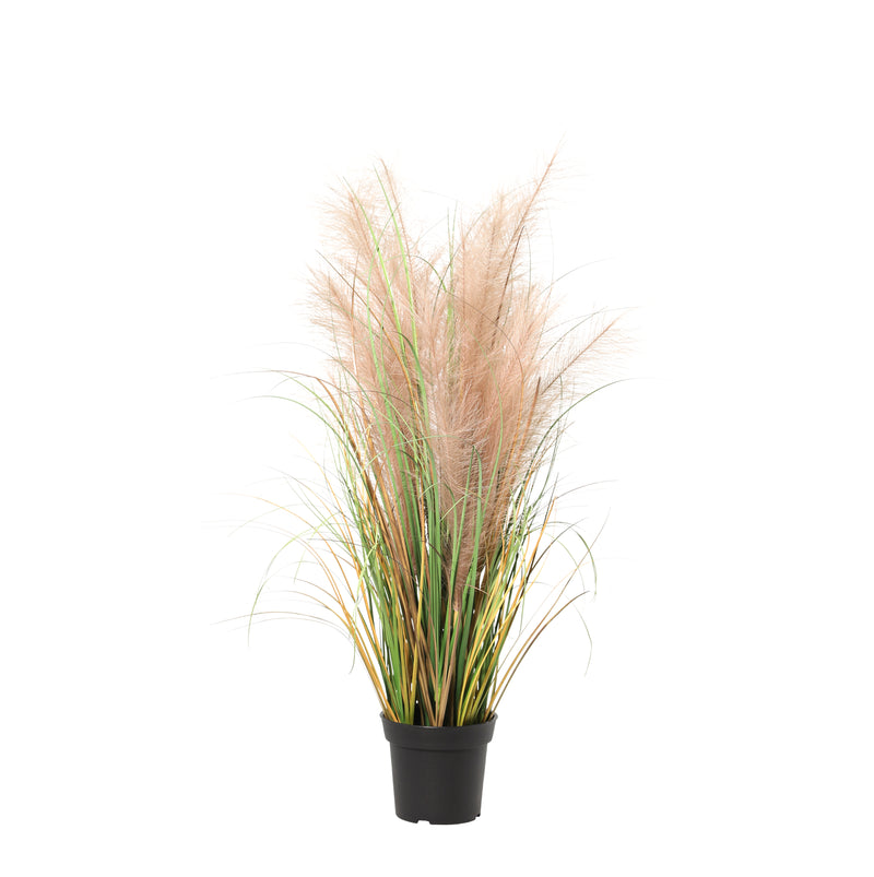 





Plante Artificielle Riet | 96cm - Afbeelding 10
