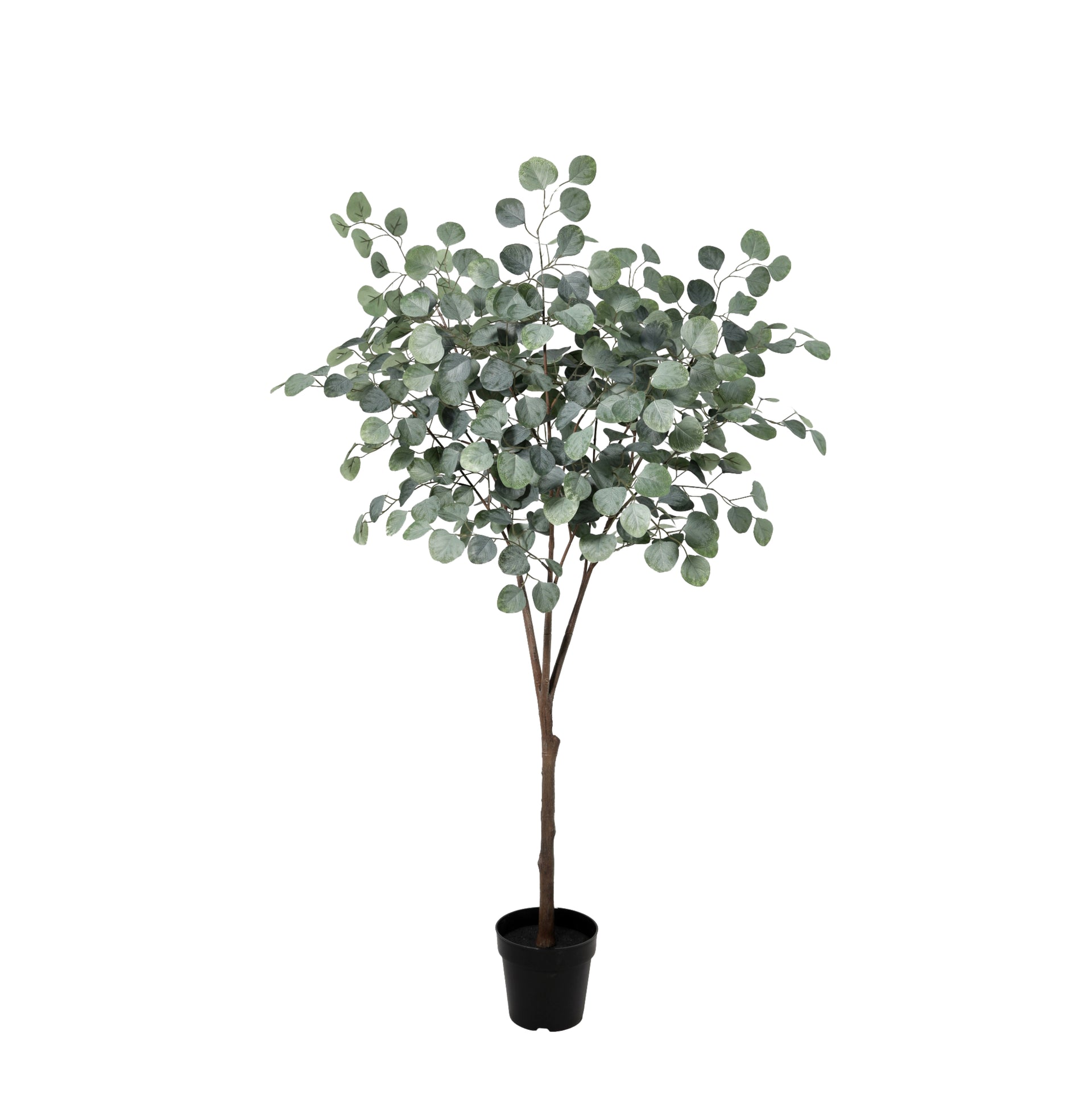 





Kunstplant Eucalyptus | 150cm - Lifestyle foto kunstplant in interieur
