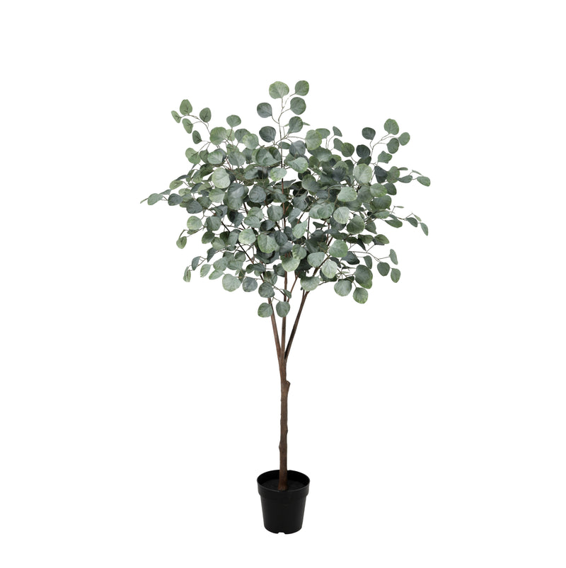 





Kunstplant Eucalyptus | 150cm - Afbeelding 10
