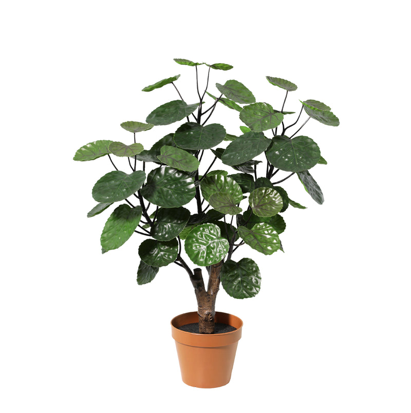 





Kunstplant Polyscias Fabian | 53cm - Afbeelding 10
