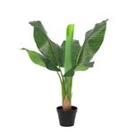 





Pianta Artificiale Bananenplant | 80cm - Afbeelding 9
 thumbnail