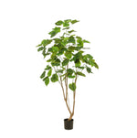 





Kunstplant Ficus Umbellata | 180cm - Detail view kunstplant
 thumbnail