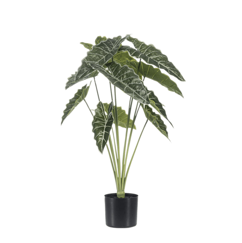 





Pianta Artificiale Alocasia Orecchio d'Elefante | 88cm - Lifestyle foto kunstplant in interieur
