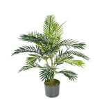 





Pianta Artificiale Areca Palma Dorata | 90cm - Lifestyle foto kunstplant in interieur
 thumbnail