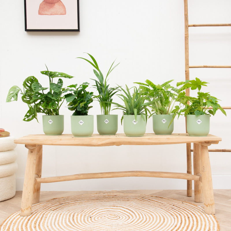 





Kvetináč elho Vibes Fold Round zelený - Detail view kunstplant
