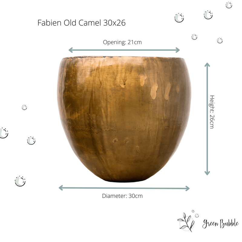 





Pot Fabien old camel - Detail view kunstplant
